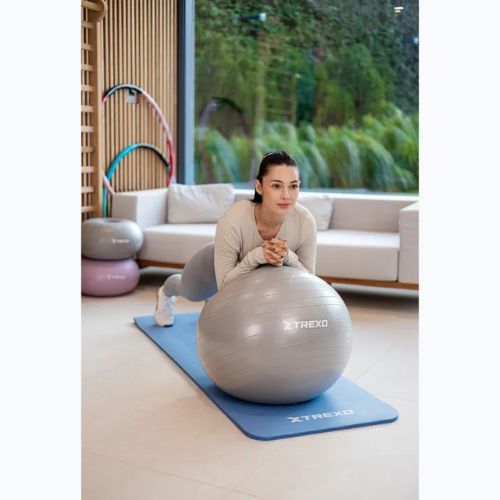 TREXO Gymball TXO-B4Z008-GY 65 cm grey