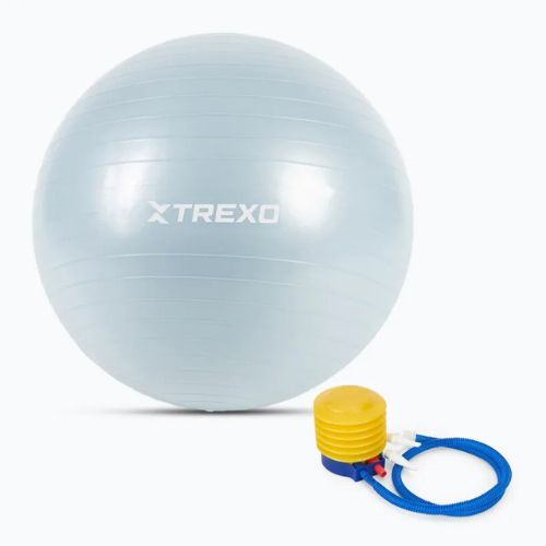 TREXO Gymball TXO-B4Z008-BL 65 cm blue