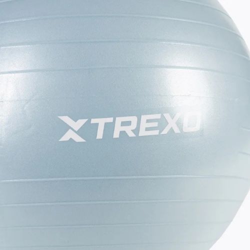 TREXO Gymball TXO-B4Z008-BL 65 cm blue