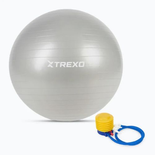 TREXO Gymball TXO-B4Z009-GY 75 cm grey