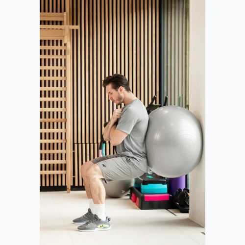 TREXO Gymball TXO-B4Z009-GY 75 cm grey