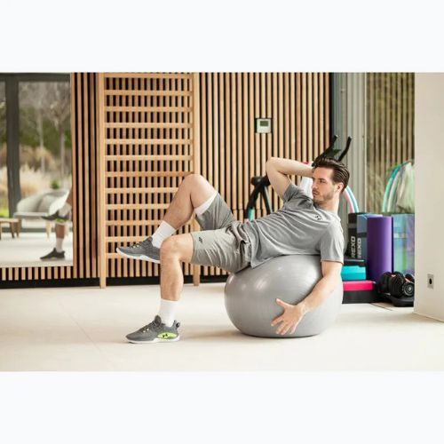 TREXO Gymball TXO-B4Z009-GY 75 cm grey