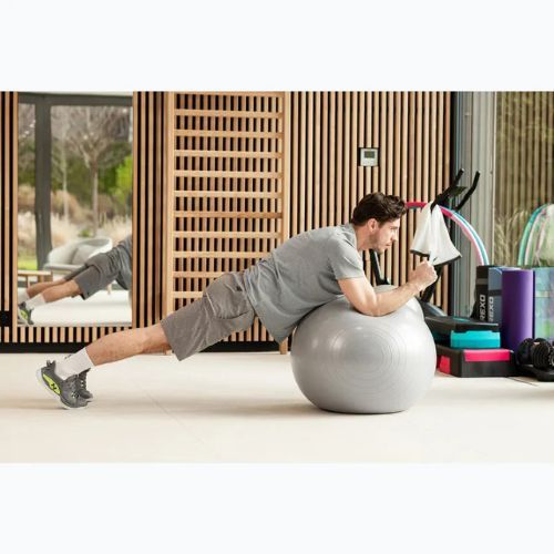 TREXO Gymball TXO-B4Z009-GY 75 cm grey