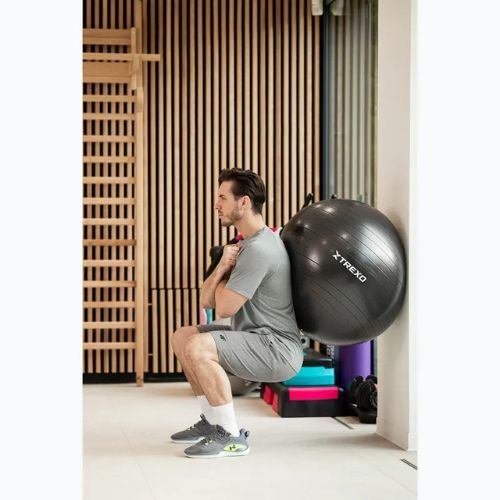 TREXO Gymball TXO-B4Z009-BK 75 cm black