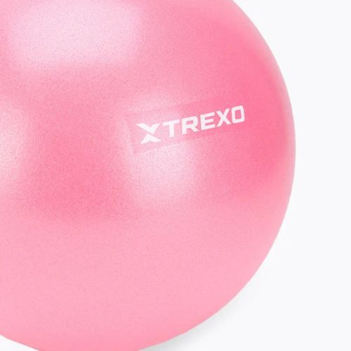 Mini gymnastics ball TREXO TXO-B4Z010-PK 20 cm pink