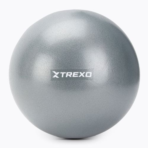 TREXO mini gymnastics ball TXO-B4Z010-GY 20 cm grey