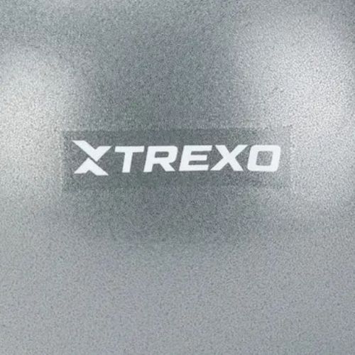 TREXO mini gymnastics ball TXO-B4Z010-GY 20 cm grey