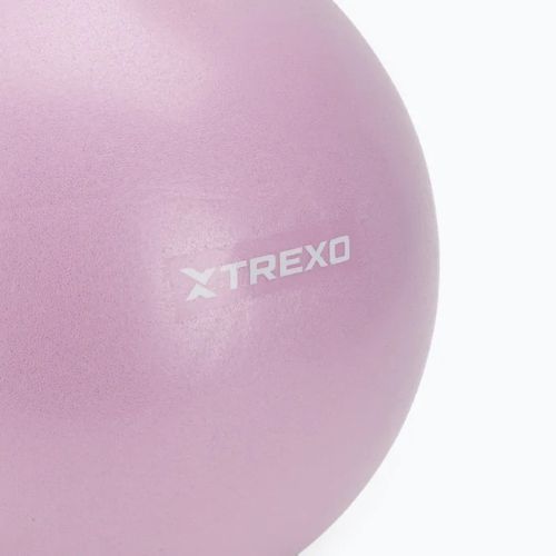 TREXO mini gymnastics ball TXO-B4Z011-VT 25 cm purple
