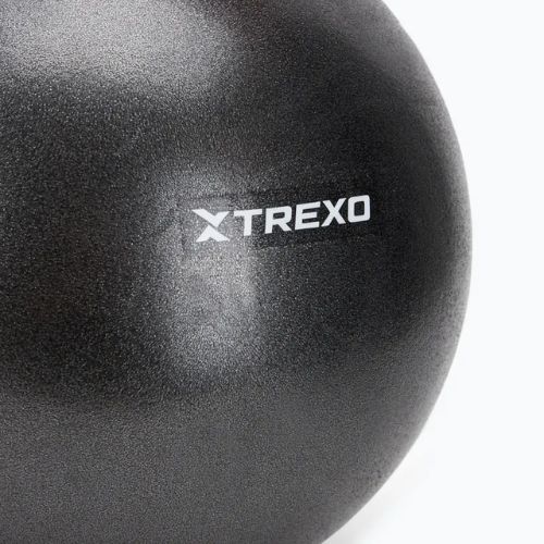 TREXO mini gymnastics ball TXO-B4Z011-BK 25 cm black