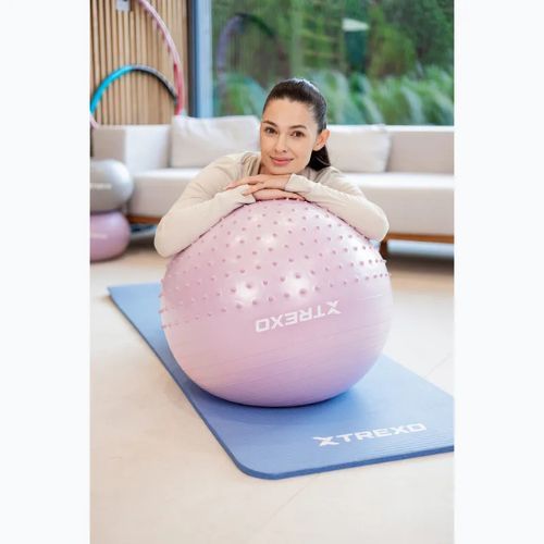 TREXO TXO-B4Z020-VT 55 cm purple massage gym ball