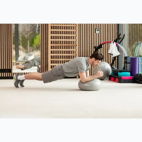 TREXO Donut Gymball TXO-B4Z073-GY 50 cm grey