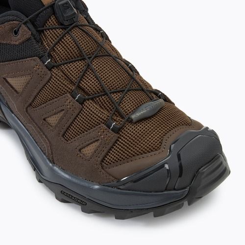 Men's trekking boots Salomon X ULTRA 360 LTR GTX dark earth/delicioso/ sharkskin