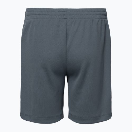 Nike Dri-Fit Multi smoke grey/white children's shorts