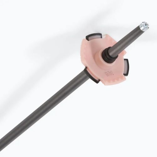 Salomon Polar Pro ski poles rose gold