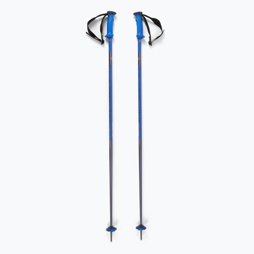Salomon Polar Pro race ski poles blue
