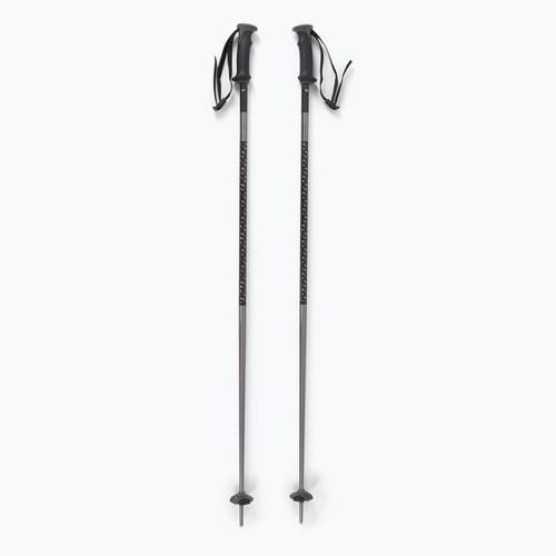 Salomon Polar ski poles black