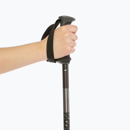 Salomon Polar ski poles black