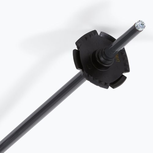 Salomon Polar Access ski poles black