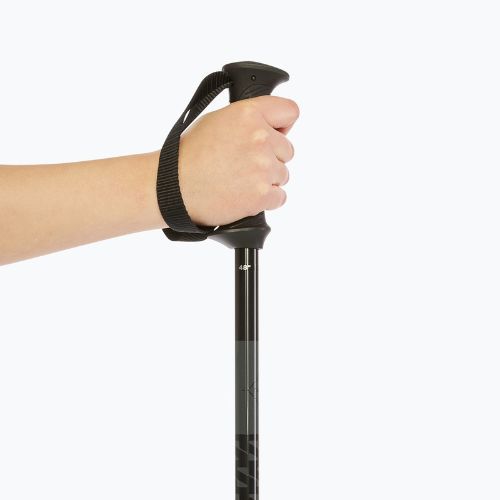 Salomon Polar Access ski poles black