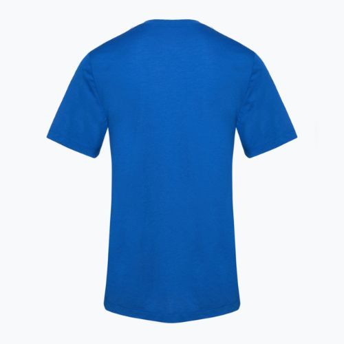 Men's Nike Dri-Fit Fitness training t-shirt dame royal