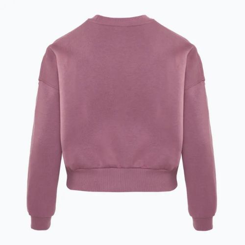 Children's Nike Sportswear Club Fleece plum dust/light wild mango sweatshirt
