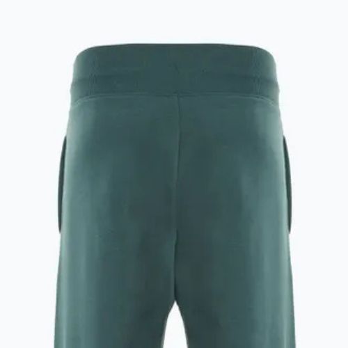 Nike Sportswear Phoenix Fleece women's trousers vintage green / sail