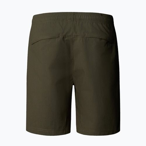 Men's shorts The North Face Limestone new taupe green