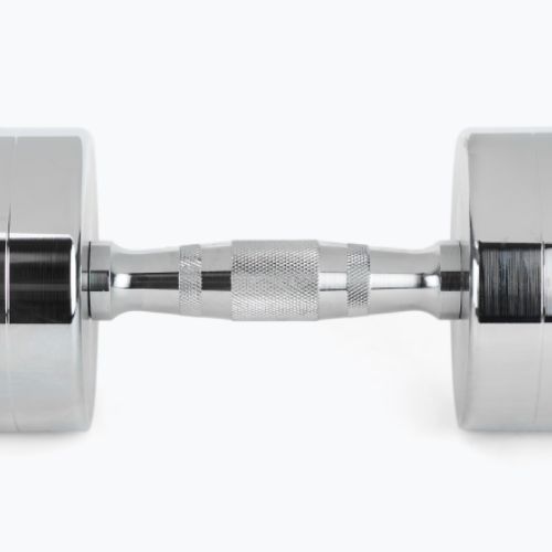 XTREXO chrome dumbbells 2x12 kg silver