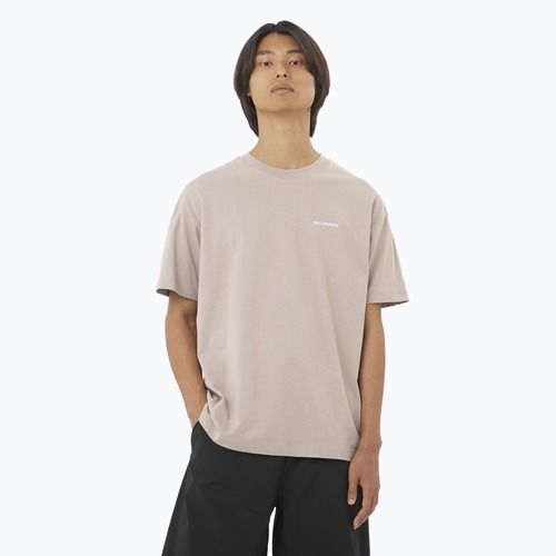 Men's T-shirt Salomon Logo RX Tee etherea
