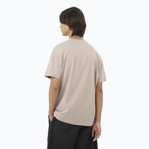 Men's T-shirt Salomon Logo RX Tee etherea