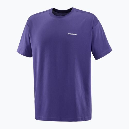Men's T-shirt Salomon Logo RX Tee astral