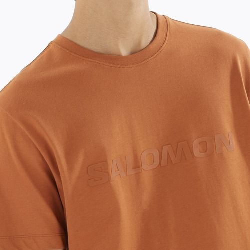 Men's T-shirt Salomon Big Logo Tee sierra