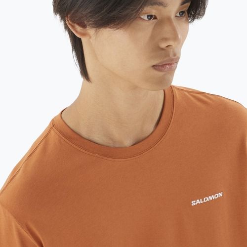 Men's T-shirt Salomon Logo Tee sierra