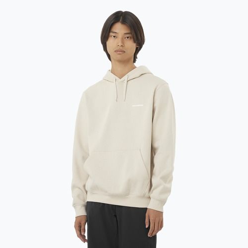 Men's sweatshirt Salomon Logo Hoodie rainy day
