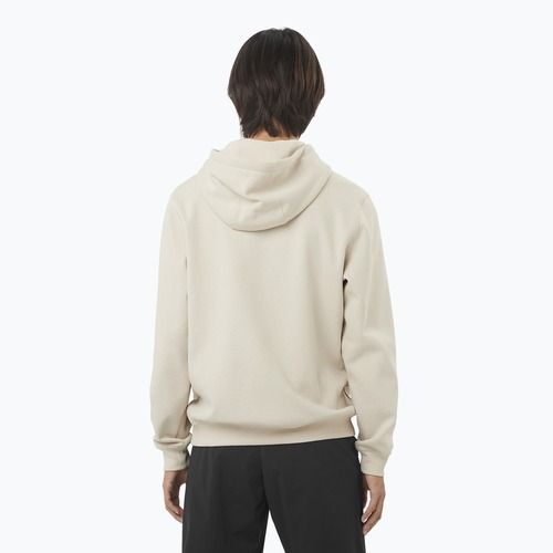 Men's sweatshirt Salomon Logo Hoodie rainy day
