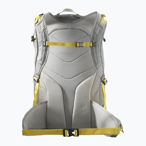 Hiking backpack Salomon Trailblazer 30 l sedona sage/seagrass/cress green