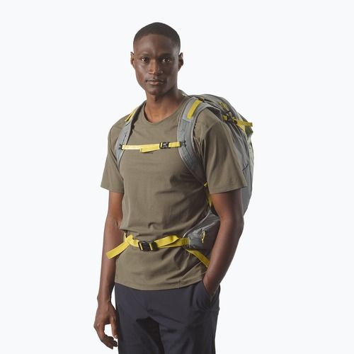 Hiking backpack Salomon Trailblazer 30 l sedona sage/seagrass/cress green