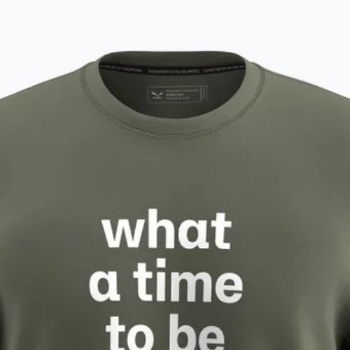 Men's Salewa Eagle Outside Loose faded green T-shirt