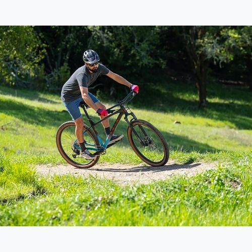 Mountain bicycle Marin Bobcat Trail 5 29 gloss black/dark blue/red