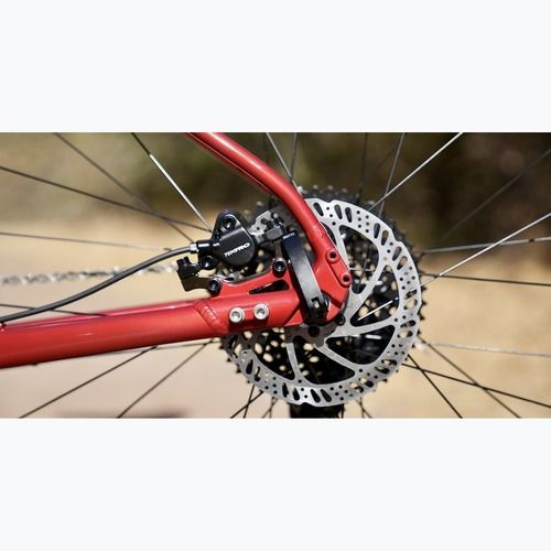 Mountain bicycle Marin Bobcat Trail 3 29 gloss charcoal/red/black