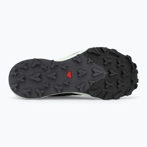 Men's running shoes Salomon Thundercross asphalt/sharkskin/spray