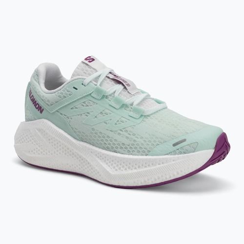 Women's running shoes Salomon Aero Glide 3 bay/white/wilowherb
