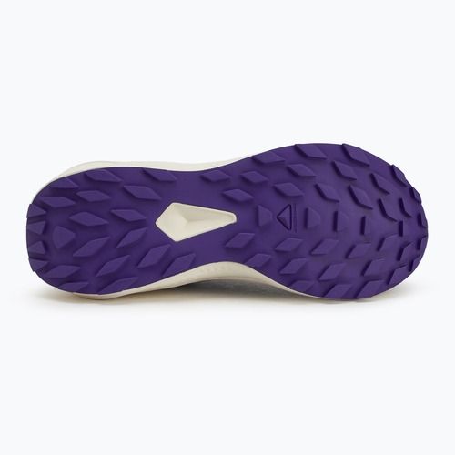 Women's running shoes Salomon Alphaglide phantom/vanilla ice/liberty