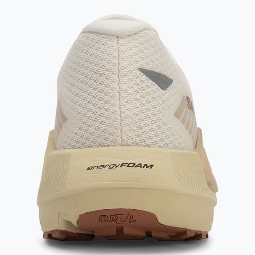 Men's running shoes Salomon Drx Defy GRVL vanilla ice/green haze/white pepper