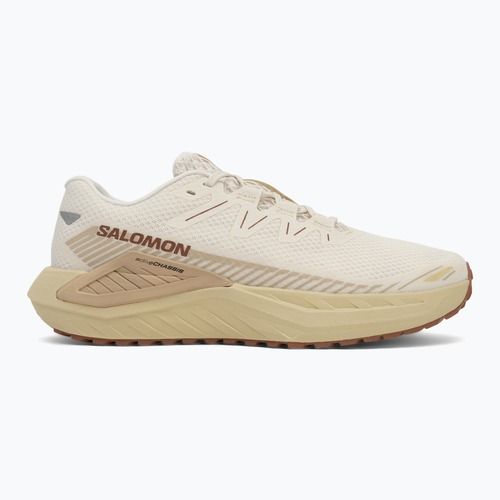 Men's running shoes Salomon Drx Defy GRVL vanilla ice/green haze/white pepper