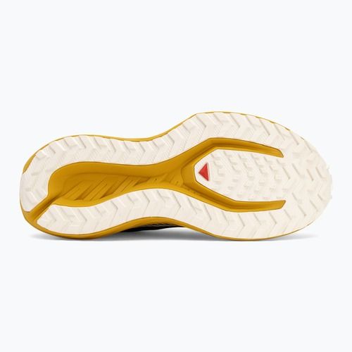 Men's running shoes Salomon Drx Defy GRVL wren/spicy mustard/vanilla ice