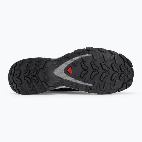 Men's running shoes Salomon XA Pro 3D V9 poseidon/icicle/alloy