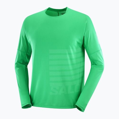 Men's running longsleeve Salomon Sense Aero Tee GFX parakeet/spearmint