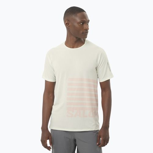 Men's running T-shirt Salomon Sense Aero Tee GFX icicle/neon flame