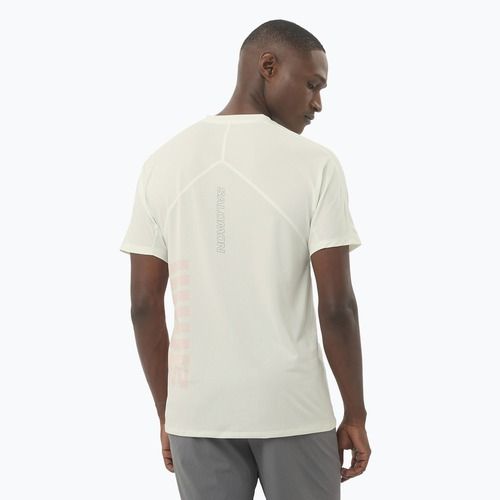 Men's running T-shirt Salomon Sense Aero Tee GFX icicle/neon flame